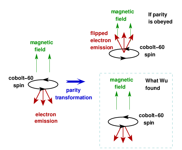 Cartoon of the Wu experiment: if parity was preserved, then the emission of electrons would change if you reversed the orientation of the experiment. Instead, she found that the electrons always shot out the same way relative to the cobalt atoms' spin, showing that the weak force violates the law of parity. [Credit: Matthew Francis]